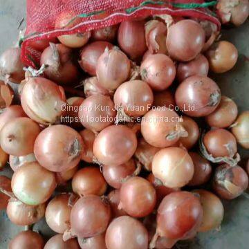 Fresh onion