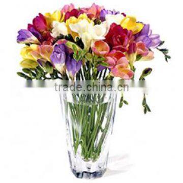 CUT FLOWER