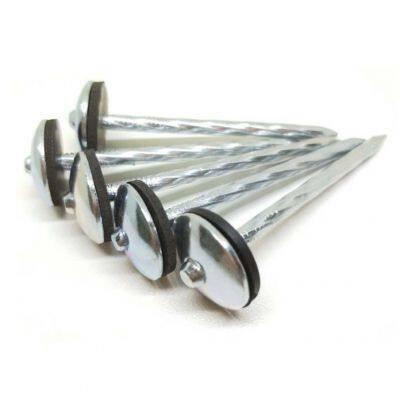 Corrugated Roofing Nails 2.5inch Straight Shank for Wooden Roof Structures photo-5