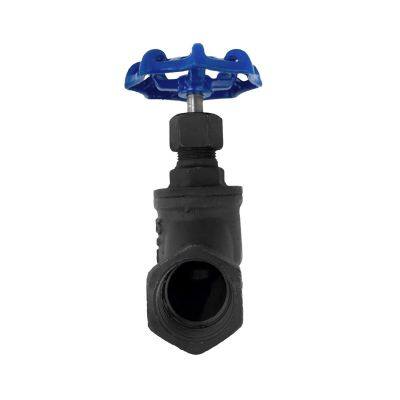 Factory Direct Manual Carbon Steel Wire Buckle Globe Valve photo-3