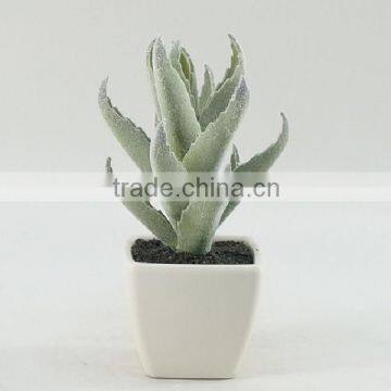 High quality mini artificial plants/succulent plants