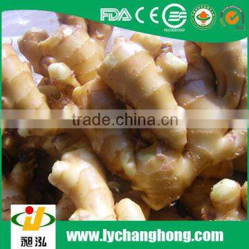 2014 new crop Linyi origin 10kg carton packing ginger root for export