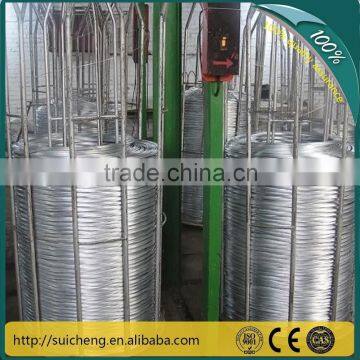 Hot dipped Galvanized Binding Iron Wire (Guangzhou factory)