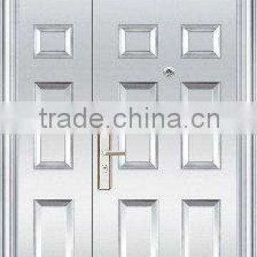 TENA (Model: TN-YJ-BXF06) Stainless Steel Framed Fireproof Glass Doors