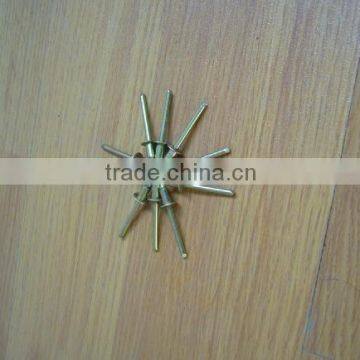 Stainless Steel Rivet/Metal Rivet/Blind Rivet