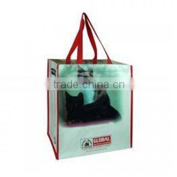 RPET Non-woven Laminated Bag