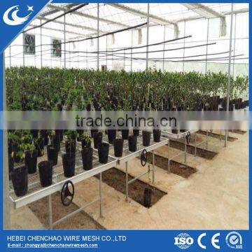 galvanized welded wire mesh greenhouse seedbed benches system