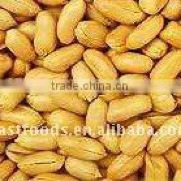 roasted blanched peanuts (unsalted & salted)