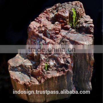 Unique big Arizona wood piece, Arizona petrified wood trunk