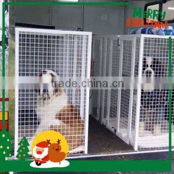 High Quality Horse Float for Sale Used for Sainy Bernards Dog