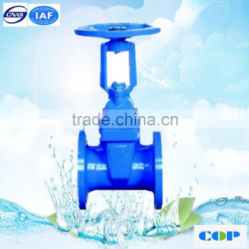 double disc cast iron/ductile iron gear operated gate valve