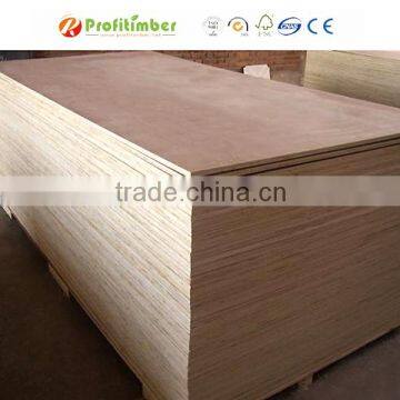 Eucalyptus Boards / Eucalyptus Hardwood Plywood