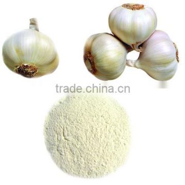 In China Fresh garlic powder