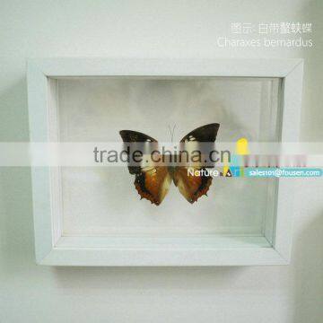 FOUSEN(034) Nature& Art Natural Species Glass Wedding Souvenirs photo-2