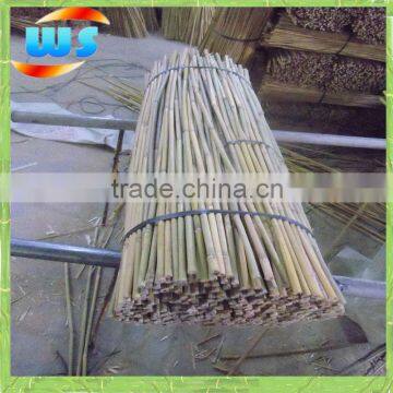 3ft 10-12mm High quality tonkin bamboo cane