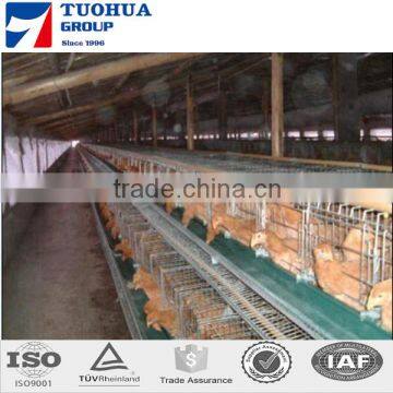 3 tiers broiler chicken cage,layer cages for sale