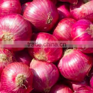 round red onions