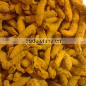 Excellent Quality of Erode Turmeric finger