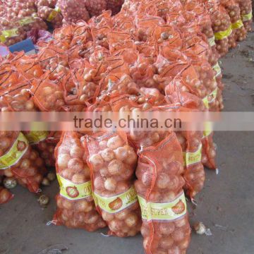 Fresh yellow onions with good quality