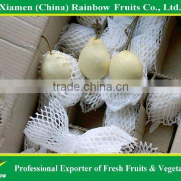 Chinese Fresh Pear