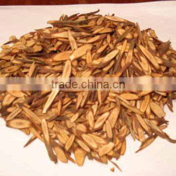 Branch Cut CASSIA Good Price Skype: Visimex03