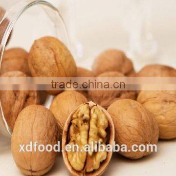 Thin skin common Walnuts in Shell,walnuts in dubai,walnut in vietnam,whole walnuts in shell