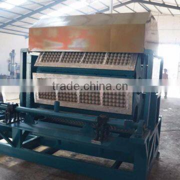Paper Egg Tray Making Machine Factory Price photo-5