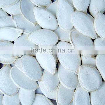 snow white pumpkin seeds