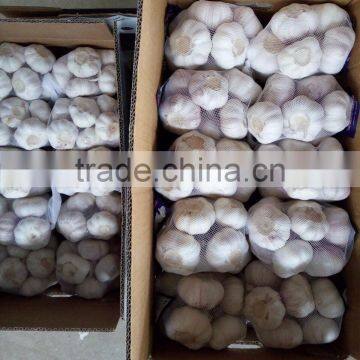 YUYUAN Brand Hot Sail Fresh Garlic Aged Garlic Extract