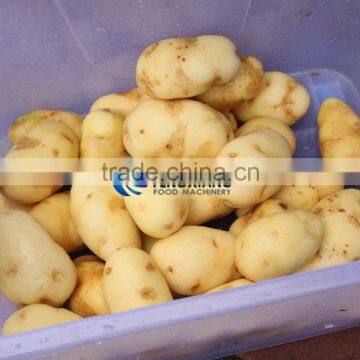 Commercial Turnip Fruit Vegetable Washing and Peeling Potato Ginger Washer and Peeler Machine photo-3