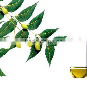 Best Price Neem Oil/Top Quality Neem Oil/neem Oil Price/neem Oil Gujarat