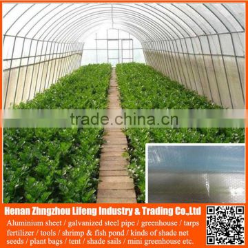 Low cost agricultural / commercial / hydroponic / industrial / hobby / prefabricated / tunnel plastic greenhouse used film