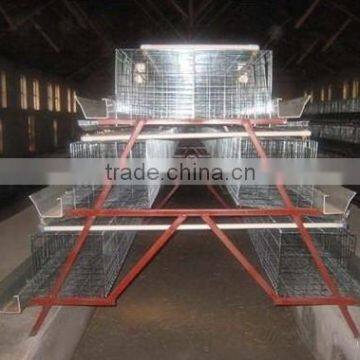 hot selling design layer chicken cages supply OEM service