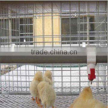 Gold Supplier Chicken Cage/chicken Farm/chicken Cage for Sale for All World photo-4