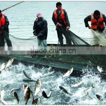 PP or Nylon Knotty & Knotless durable Fishing Net