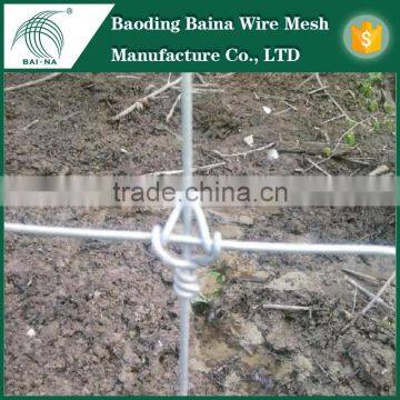 2.5mm / 3.0mm galvanized knitted wire mesh / field fence for glassland fence(made in china)