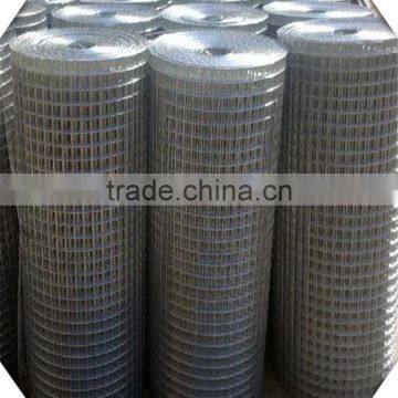 High Quality Galvanized Diamond Welded Wire Mesh for Sale / Galvanized Welded Wire Mesh photo-3
