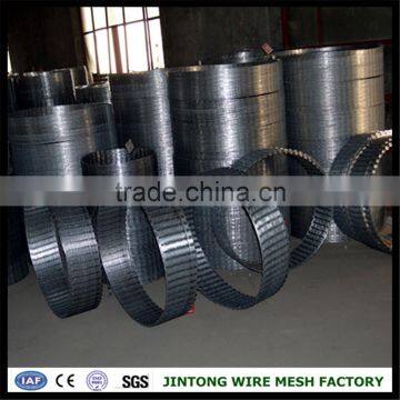 Iron Wire Mesh Material Raozor Wire Prison Fence / Razor Wire Cbt-60 photo-2