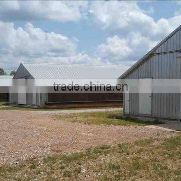 design modern automatic poultry china equipment chicken farm
