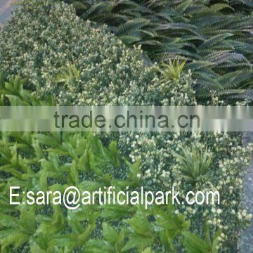 Plastic Garden Walls,vertical Green Wall photo-4