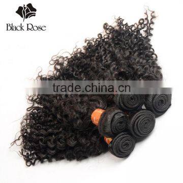 Black Rose Shengyuan Hair Factory Original Curly Indian Human Hair photo-4