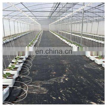 High Quality Cheap Price Agricultural Indoor Solar Greenhouse Frame With Plastic Sheet Tent photo-2