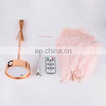 Modern Design Contemporary Contracted Nordic Creative Romantic LED Ostrich Feather Table Lamp Decor With Remote Control photo-6
