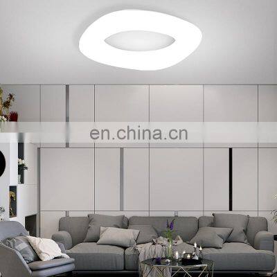 China Best Price Contemporary Indoor Decoration Led Lampara Techo Ceiling Lamp photo-4