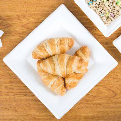 Organic Biodegradable Food Plates