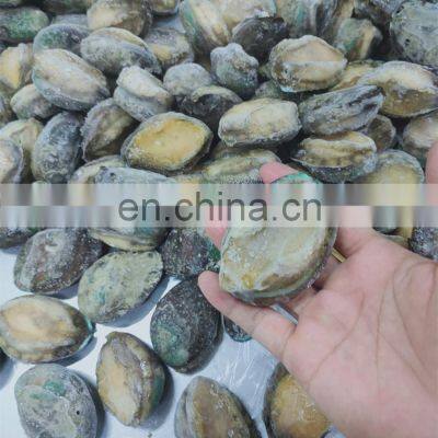 IQF Frozen Abalone in Shell for Sale photo-3