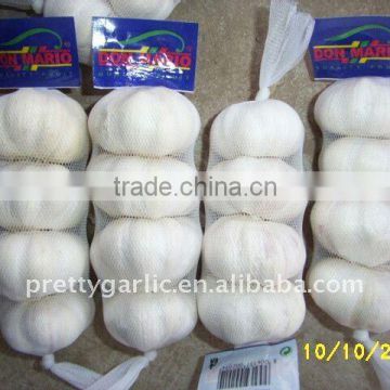 normal white garlic 4.5cm