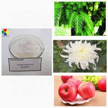 Plant Growth Regulator Indole-3-butyric Acid ( IBA ) 98%TC Powder photo-2