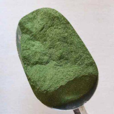Ao Nori Powder photo-4