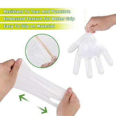 USA Wholesale Eco-Friendly and Skin-Friendly Disposable PE Gloves Powder Free for Kitchen Work Clear Working